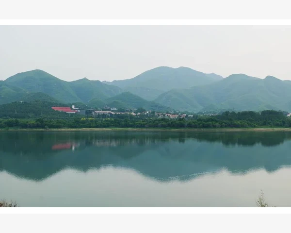 中医针灸的好处与坏处分析：你了解多少？