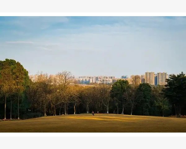 B2B B2C C2C网站模式差异详解